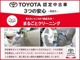 トヨタ ハリアー 2.0 プレミアム ドラレコ フルセグ ETC バックカメラ 熊本県の詳細画像 その2