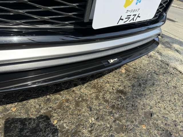 レクサス NX 300h Fスポーツ 4WD サンルーフ/三眼LEDヘッドライト/プリクラ 北海道の詳細画像 その13
