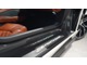 シザードアを開けるとカーテシ部分に、AVENTADORのロゴが配置されており、車内側には、インナーハンドルが配置されております。