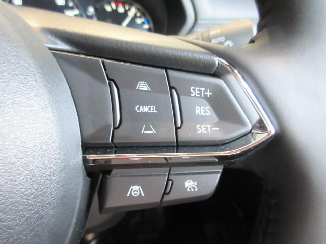 ステアリングには各種スイッチを配置。右手は「レーダークルーズコントロール」の操作を行えます。