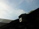 レクサス UX 250h バージョンC 4WD 三眼LEDランプ 18インチアルミ 埼玉県の詳細画像 その3