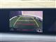 レクサス UX 250h Fスポーツ サンルーフ メーカーナビTV 黒革 LED BSM 静岡県の詳細画像 その4