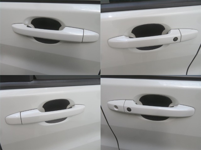 傷付きやすいドアハンドル部をしっかりガードするオプションのドアハンドルプロテクションカバー付きです。