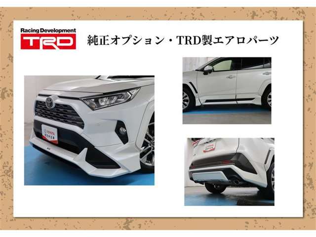 トヨタ RAV4 2.0 G 4WD TRD製フルエアロ SDナビ バックカメラ 埼玉県の詳細画像 その4
