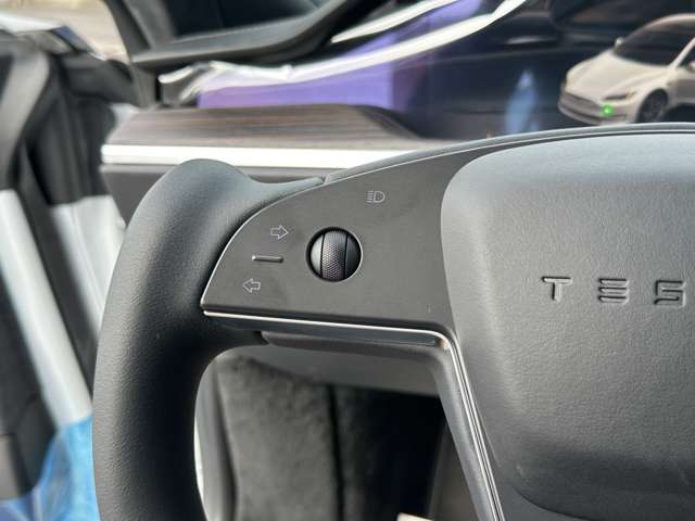 テスラ モデルS Model S ガラスルーフ LED ヨークステア OP21AW 鹿児島県の詳細画像 その15