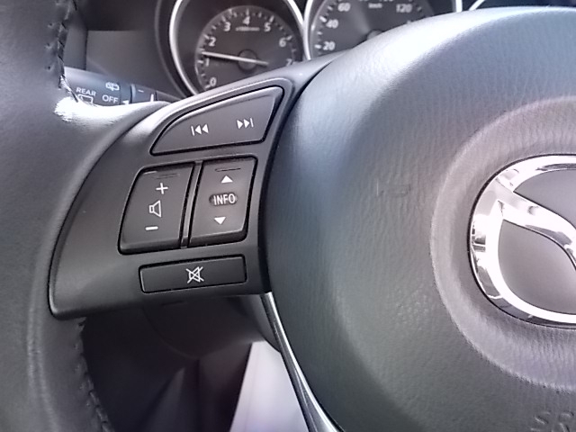 ステアリングスイッチ：ハンドル左側には運転中でもボリューム調整やインフォメーションシステムが切り替えられるスイッチ付になります。わき見運転の防止に役立ちます。