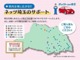 トヨタ ヴィッツ 1.3 F 純正CDデッキ・ディスチャージヘッドライト 埼玉県の詳細画像 その2