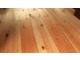 床材を天然木の無垢の仕様へ変更可能です。家具類はそのままウォールナット柄を使用します。