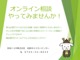 ダイハツ キャスト アクティバ 660 X CD再生+スマートキー 奈良県の詳細画像 その2