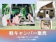トヨタ アクア 1.5 S アイドリングストップ 横滑り防止装置 宮城県の詳細画像 その4