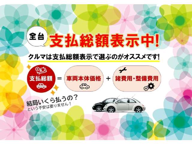 トヨタ bB 1.3 Z エアロパッケージ 4WD バックカメラ 新潟県の詳細画像 その2