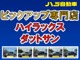 トヨタ ハイラックス スポーツピックアップ 2.7 ダブルキャブ ワイドボディ 4WD サンル-フ ステップバンパー 16アルミ 千葉県の詳細画像 その2