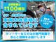 北海道三菱自動車です♪ご来店前に在庫確認のお問合せをお願いいたします！