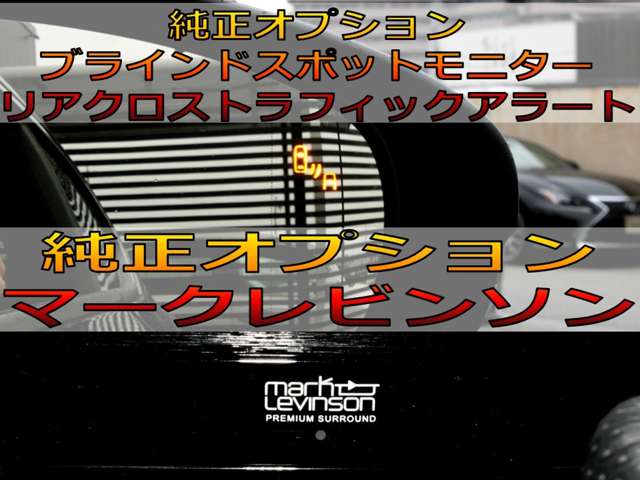 レクサス RC 350 Fスポーツ マクレビ/三眼ヘッド/サンルーフ/PCS/BSM 愛知県の詳細画像 その7