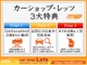 ホンダ シビックタイプR 2.0 1オーナー禁煙 ナビBカメETC2.0 18AW 千葉県の詳細画像 その3