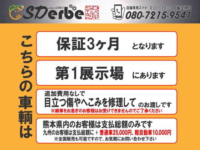 日産 オッティ 660 S 5MT エアロ 車高調 社外アルミ SDナビ 熊本県の詳細画像 その3