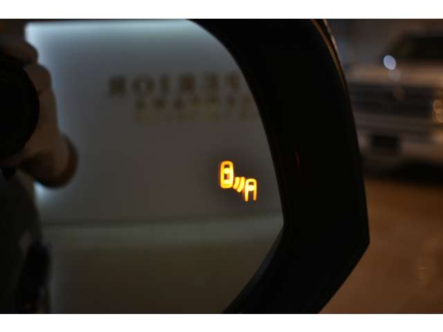 トヨタ RAV4 2.0 G Zパッケージ 4WD ム-ンル-フ10.5ナビBSMモデリスタ鍛造21W 神奈川県の詳細画像 その13