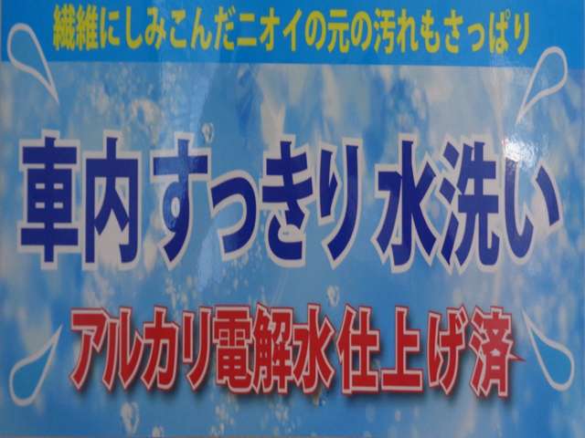 三菱ふそう キャンター 3.0 ダンプ 全低床 ディーゼルターボ カスタム Lゲート 栃木県の詳細画像 その10