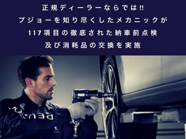 プジョー 208 GT 新車保証継承 バックモニター クルコン 愛知県の詳細画像 その5