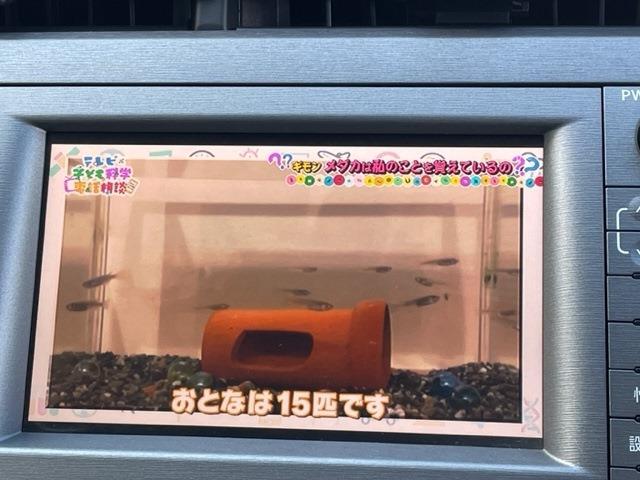 トヨタ プリウスPHV 1.8 G レザーパッケージ ナビ ETC Bカメラ オートクルーズ 東京都の詳細画像 その15