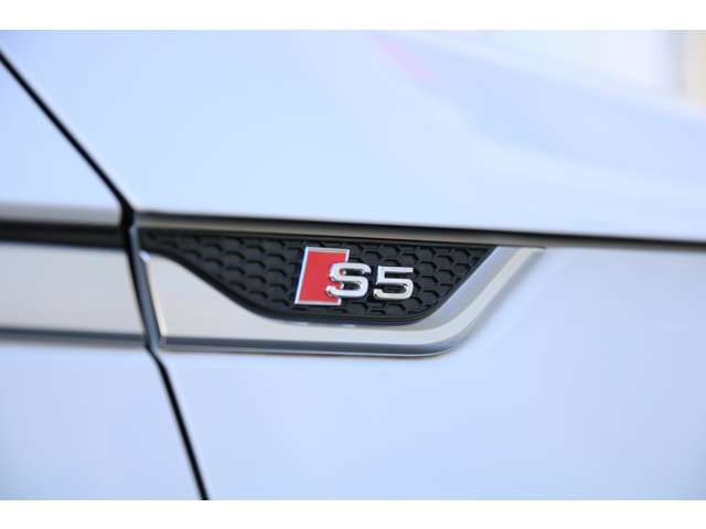 アウディ S5スポーツバック 3.0 4WD Alpilコンプリート カーボンエアロ 鍛造AW 兵庫県の詳細画像 その19