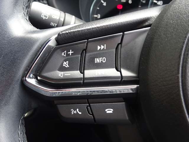 【ステアリングスイッチ】ステアリングスイッチは運転姿勢や視線を崩さずに操作が可能です。左側にはオーディオ類があります。