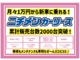 ニチメンカーリース大好評です♪
