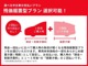 【Ｚプラン】一括払いに比べて、購入時の負担を軽くすることが出来ます！お支払いは初回と、決めていただいた期間経過後の２回払い！予算の一部を手元に残しておくことが出来ます！