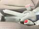 手で引くタイプのサイドブレーキ。