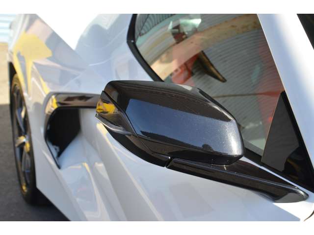 カーボンフラッシュ塗装ドアミラー＆リアウイング 電動ドアミラーヒーター機能付き 運転席暴言機能、