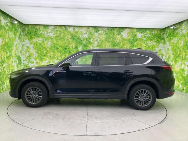 �L�т₩�ȃ��[�t���C�����烊�A�֑����V���G�b�g����ۓI�ŁA�T�C�h�̑��`�ɂ��܂Ƃ܂肪����܂��B�����������F�������S�̂��������߁A��i�ȕ��͋C�����������܂��B