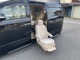 トヨタ ヴェルファイア 2.4 X サイドリフトアップシート装着車 両PスラナビTV後席モニター サンルーフ ETC 長野県の詳細画像 その3
