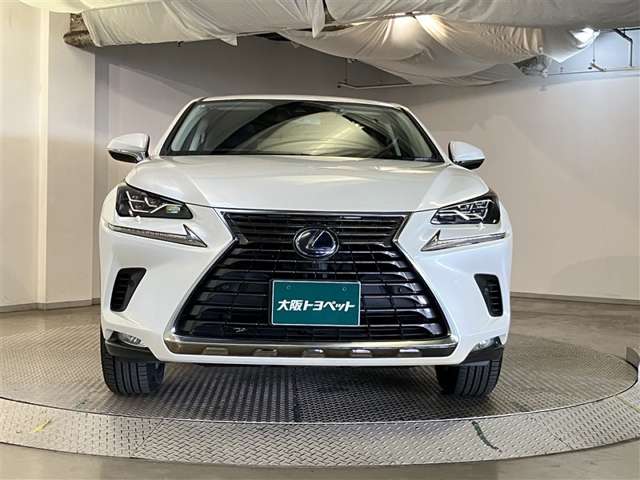���ԍw���̃|�C���g�ƂȂ�t�����g�}�X�N�ł��I�V���[�v�Ȗڂ�����ۓI�ȃf�U�C���̃w�b�h�����v�ł��B