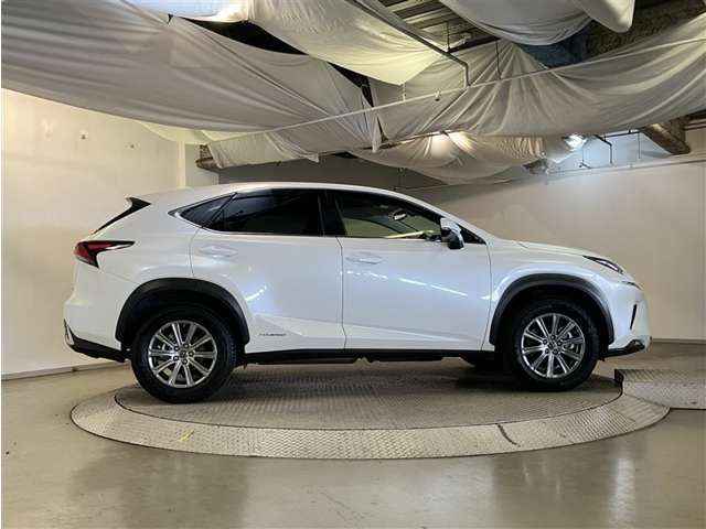 �N���X�^���L�[�p�[������舵�����Ă���܂����@�ڂ����̓X�^�b�t�܂ł��₢���킹���������B