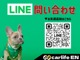 【問い合わせ】LINEでお気軽に問い合わせください！！