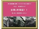 フォード マスタング V8 GT クーペ プレミアム 車高調/社外マフラー/ETC/1年保証付き 愛知県の詳細画像 その3