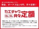 お客様に合ったお支払いプランをご提案させて頂きます。頭金０円、ボーナス払い0円、月々定額のプランもございます。ぜひスタッフにご相談ください♪