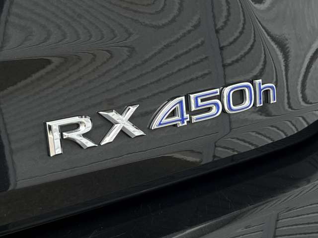 レクサス RX 450h Fスポーツ 4WD ドラレコ・パノラミックビュー&Bカメ 大阪府の詳細画像 その18