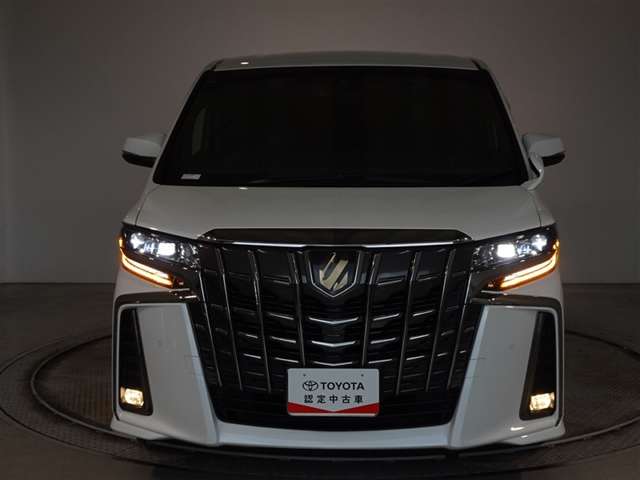 夜間のライティングを表現してみました。ヘッドランプはLED、省エネで明るいですよ。