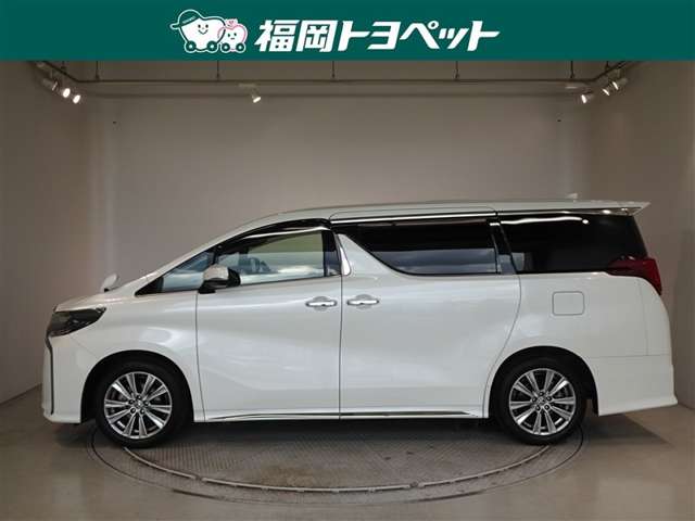�g���^�̏㋉�~�j�o���A�A���t�@�[�h�@�r�@�^�C�v�S�[���h�Q�����ׂ��܂����B�[�������ł��B