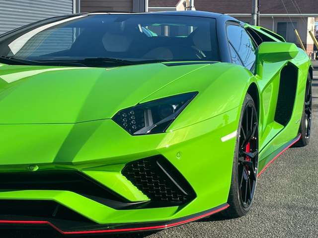 Lamborghini Aventador Roadster, фото 14
