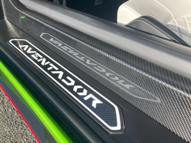 Lamborghini Aventador Roadster, фото 15