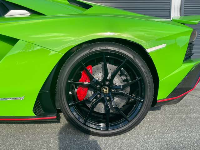Lamborghini Aventador Roadster, фото 18