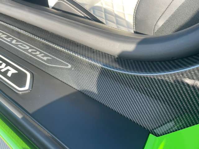 Lamborghini Aventador Roadster, фото 39