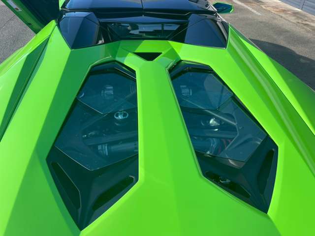Lamborghini Aventador Roadster, фото 55