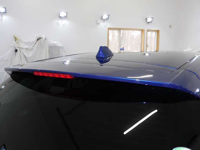 スバル レヴォーグ 1.6 GT アイサイト Sスタイル 4WD 寒冷地サイドカメラ純正ナビLEDライト 北海道の詳細画像 その19