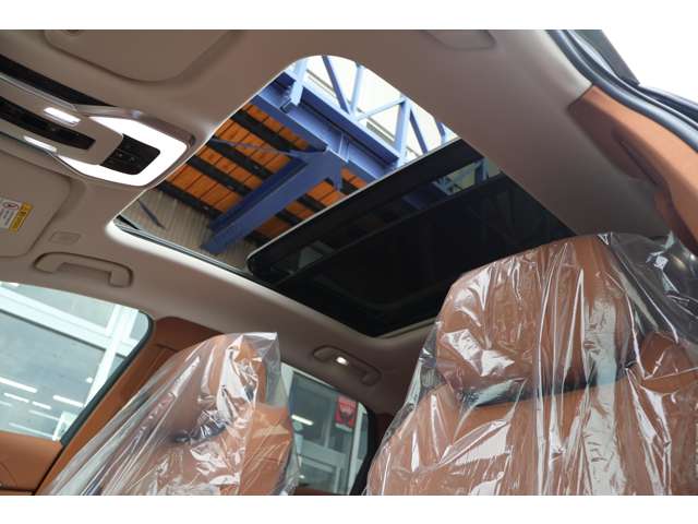 HONGQI H9 2.0T, фото 58