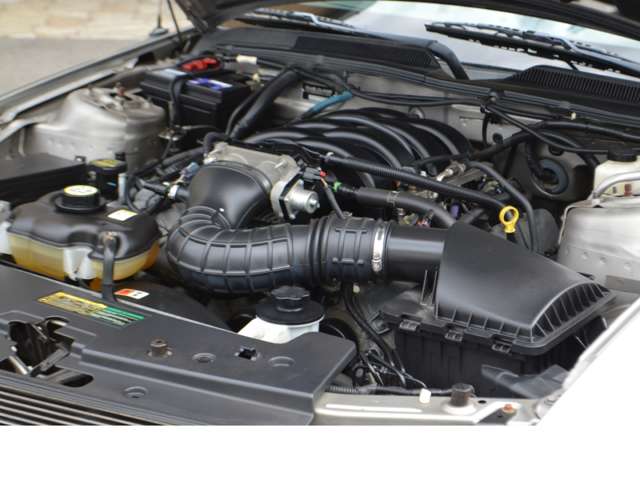 フォード マスタング V8 GT クーペ プレミアム エレノア ブルーフレーム 新並 愛知県の詳細画像 その5