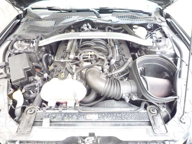 フォード マスタング シェルビー GT350  静岡県の詳細画像 その11