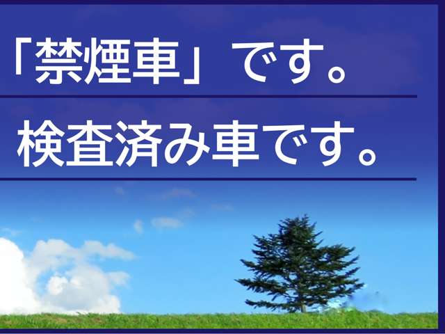 日産 エクストレイル 2.0 20X 2列車 4WD メモリーナビ アラウンドビュー エマブレ 兵庫県の詳細画像 その4